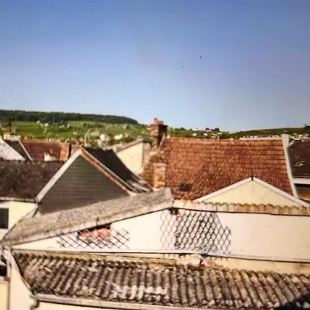 Appartamento Superbe 2p Au Coeur D'epernay Épernay