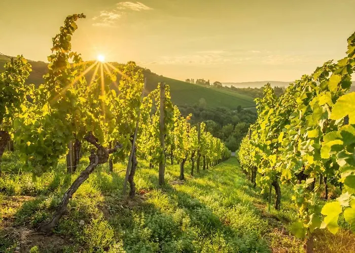 Superbe 2p Au Coeur D'epernay Appartement Épernay